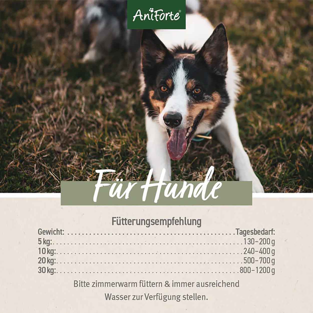 AniForte Pure Nature Wild Forest