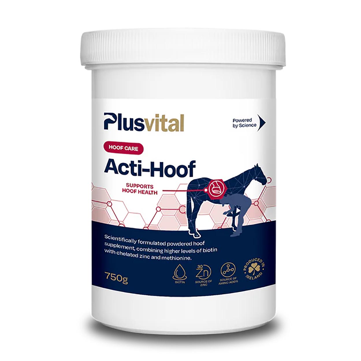 Plusvital Acti-Hoof 750g