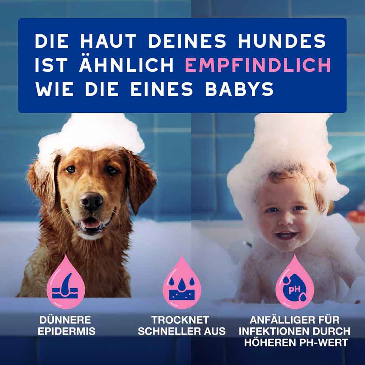 DOUXO SPA Shampoo gegen Juckreiz 250ml DOUXO SPA Shampoo gegen Juckreiz 250ml