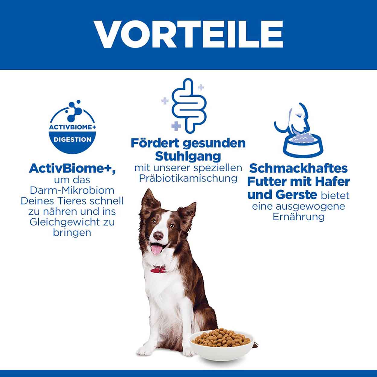 Hills Science Plan Hund Perfect Digestion Medium Adult Huhn 14kg