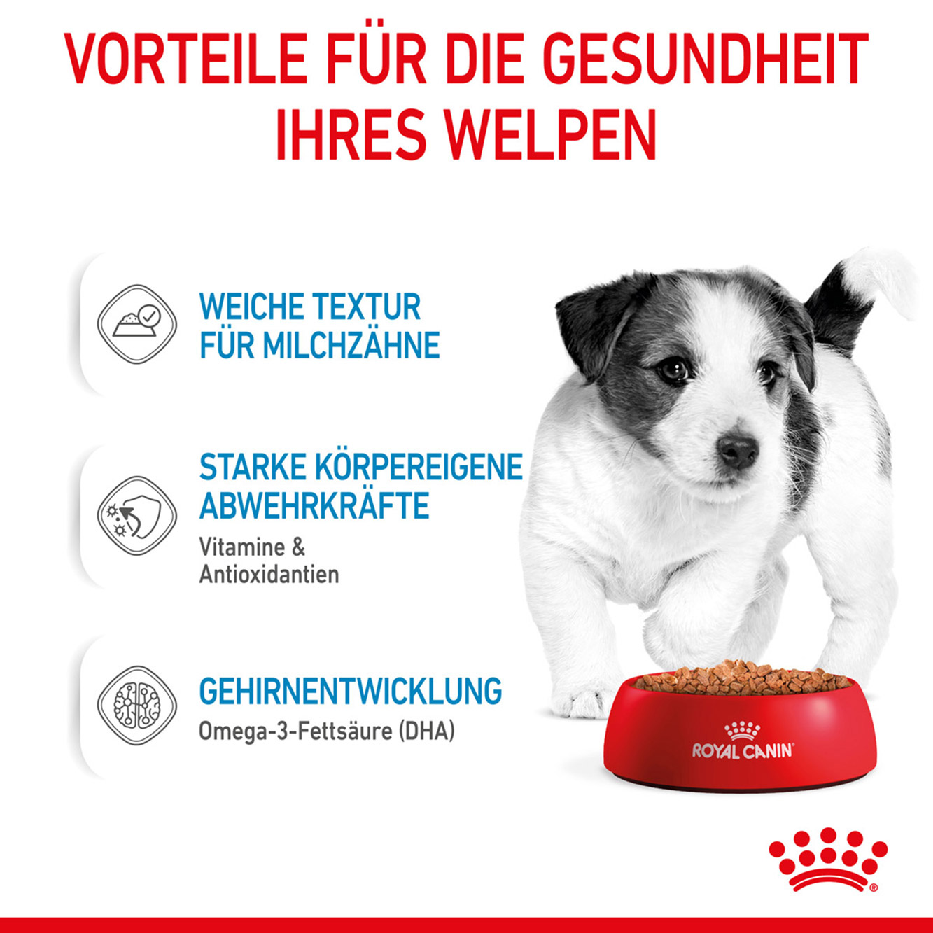 Royal Canin Hund Mini Puppy 12x85g