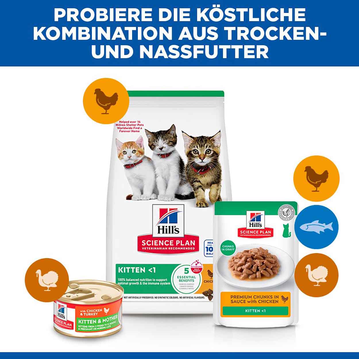 Hills Science Plan Katze Kitten Huhn 1,5kg  