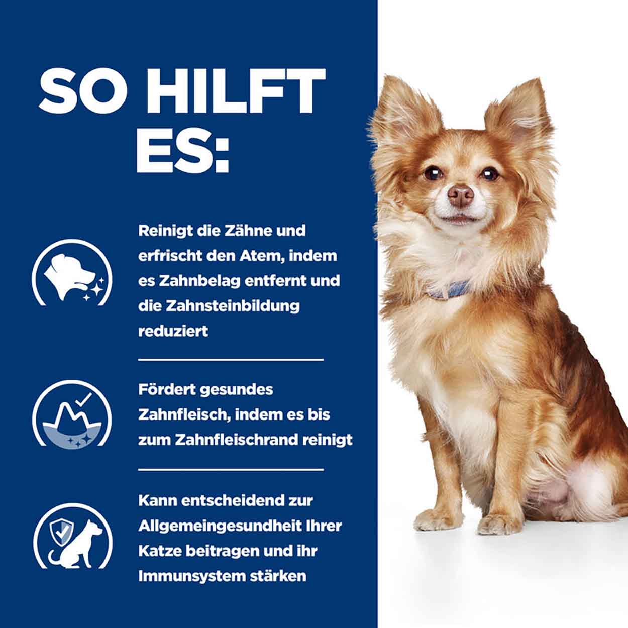 Hills Canine t/d Mini 3kg