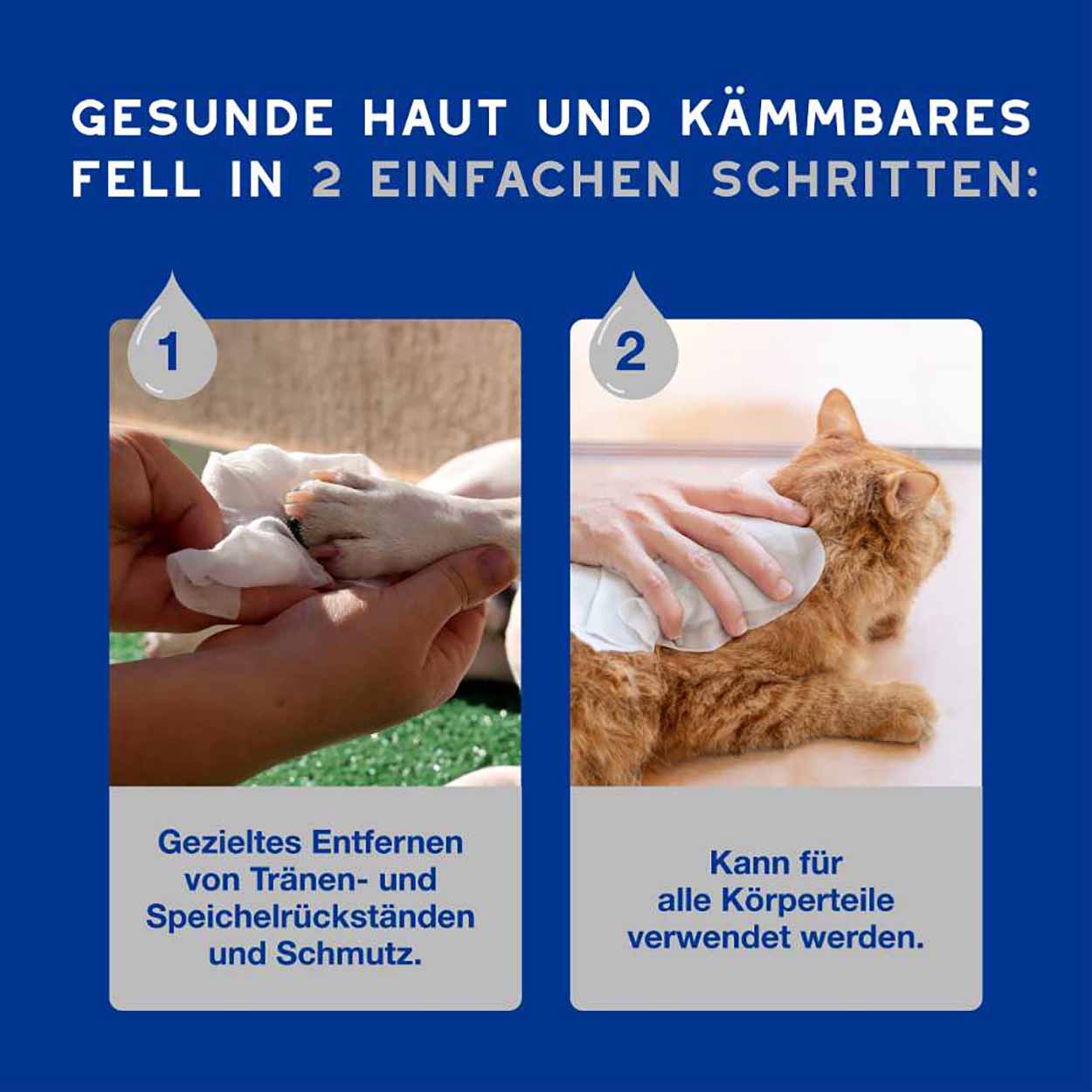 DOUXO SPA Feuchttücher 100Stk DOUXO SPA Feuchttücher 100Stk