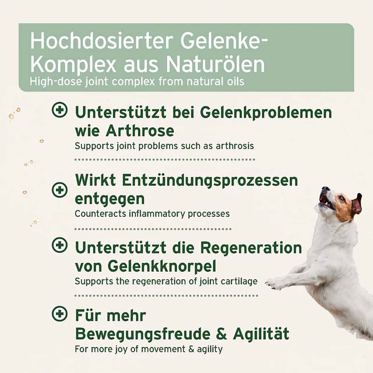 AniForte plus Arthro Omega Öl 250ml