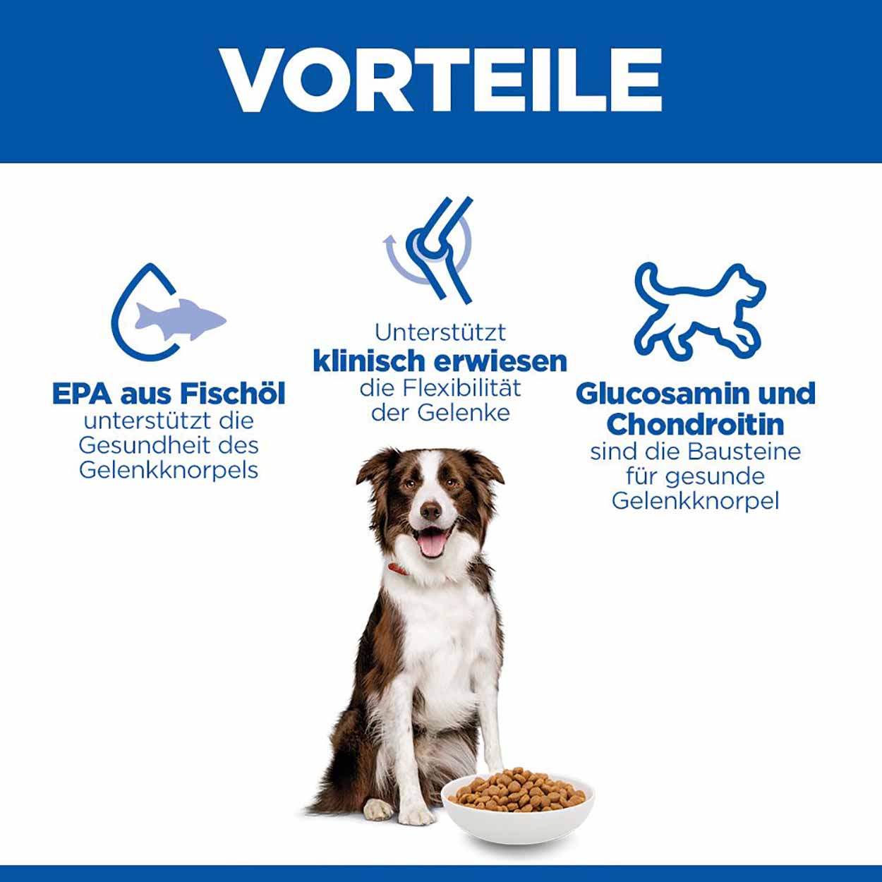 Hills Science Plan Hund Healthy Mobility Medium Adult Huhn 14kg