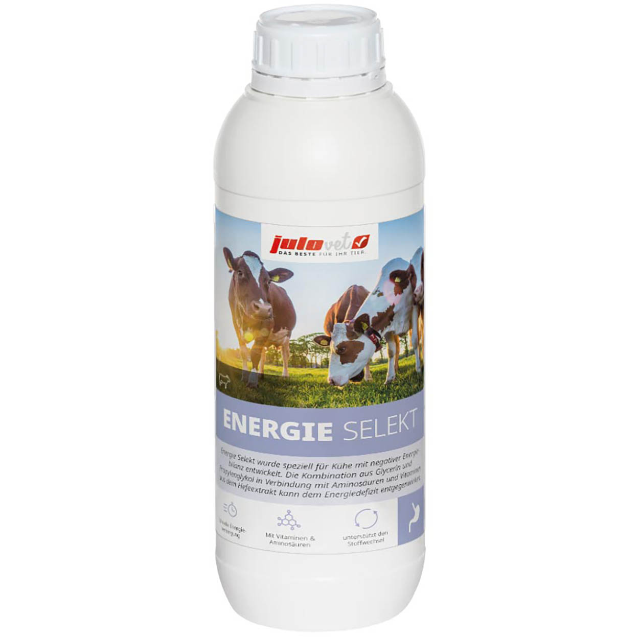 Energie Selektion