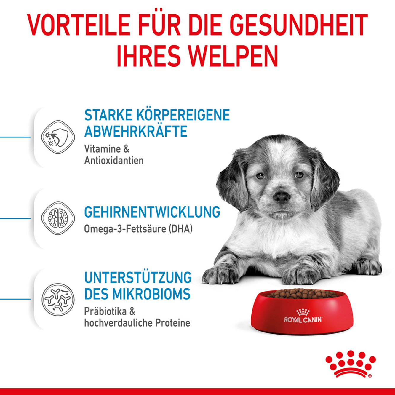 Royal Canin Hund Medium Puppy 4kg