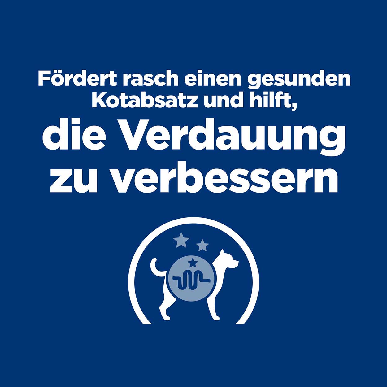 Hills Canine i/d Rind 12x360g