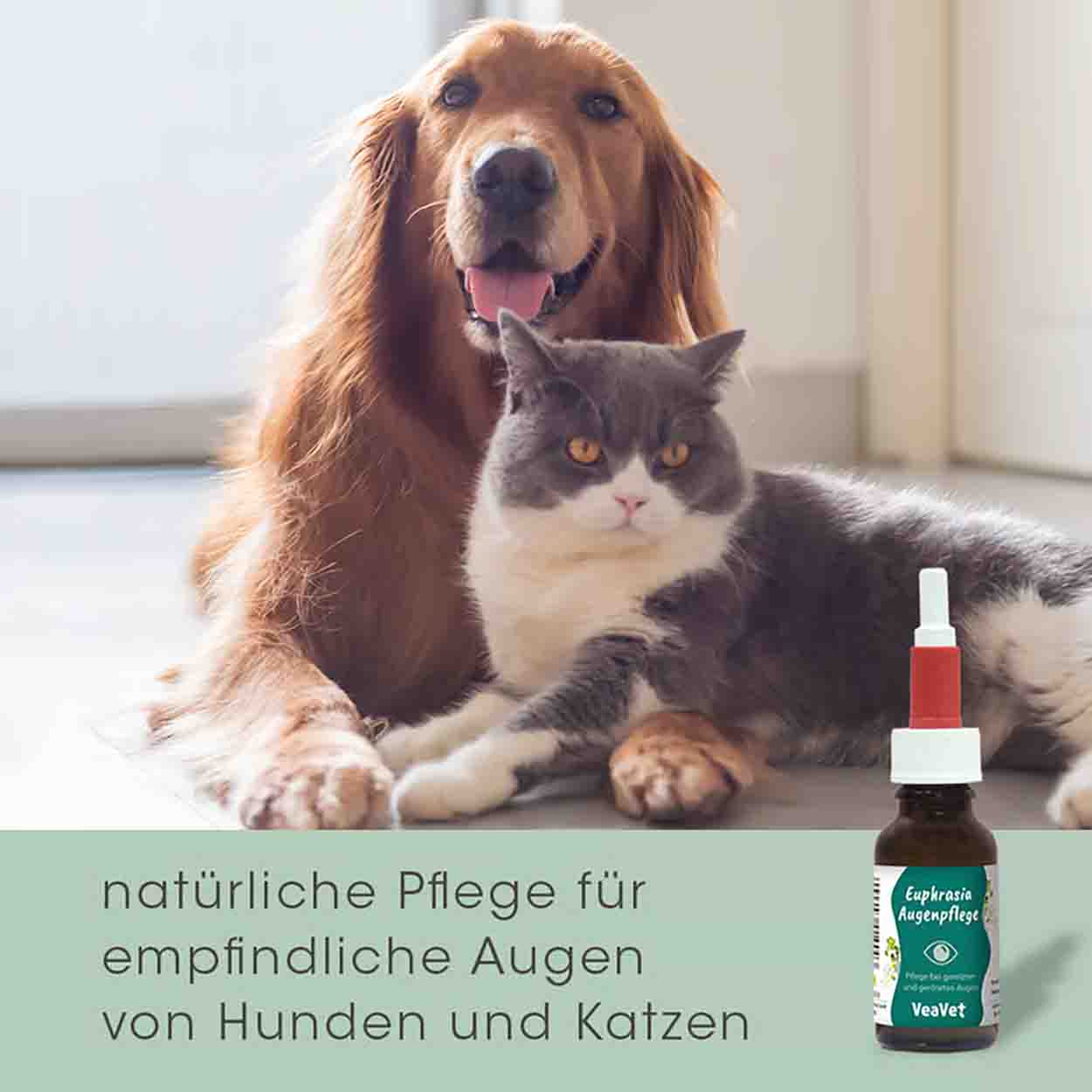 cdVet VeaVet Euphrasia Augenpflege 20ml