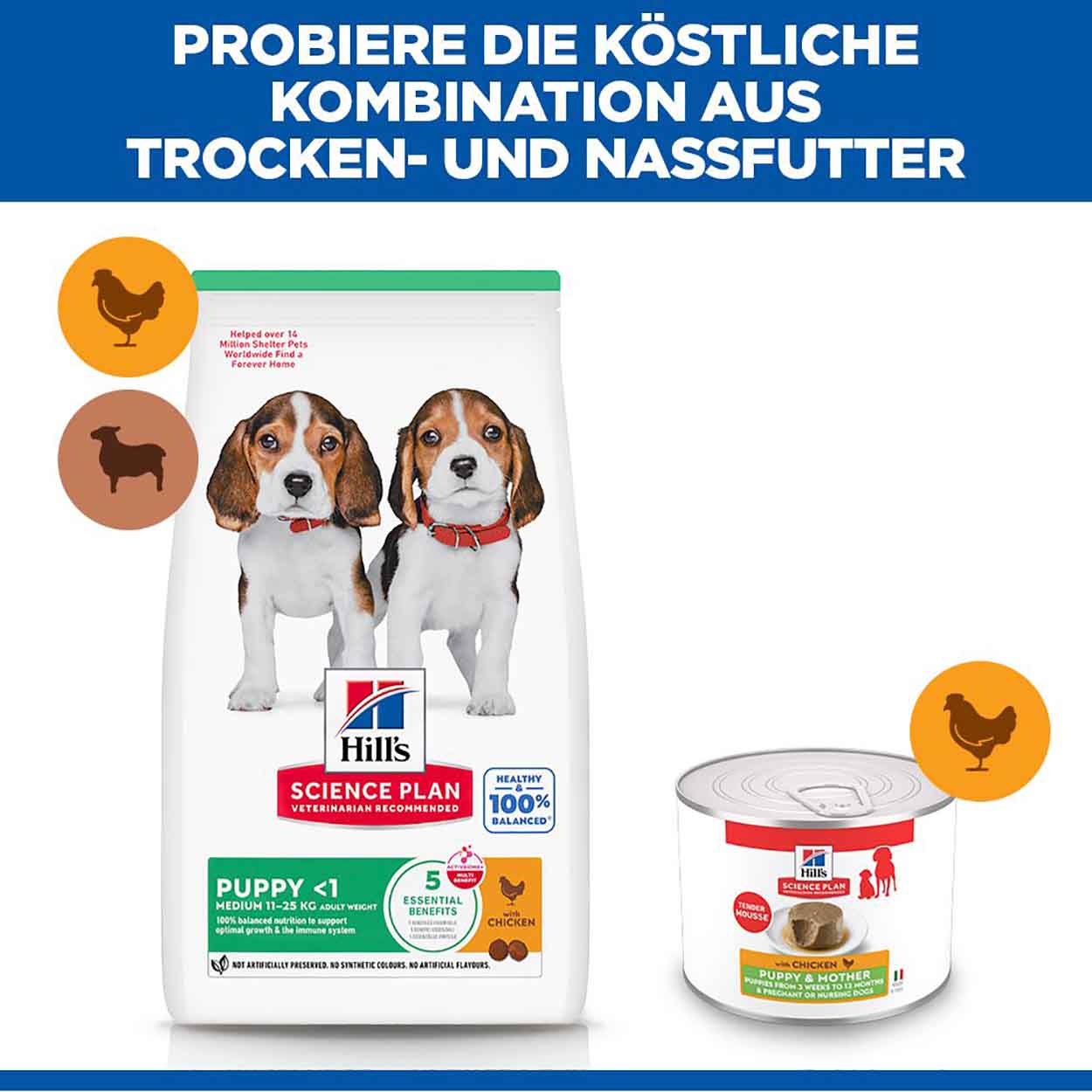 Hills Science Plan Hund Puppy & Mother Tender Mousse Huhn 12x200g