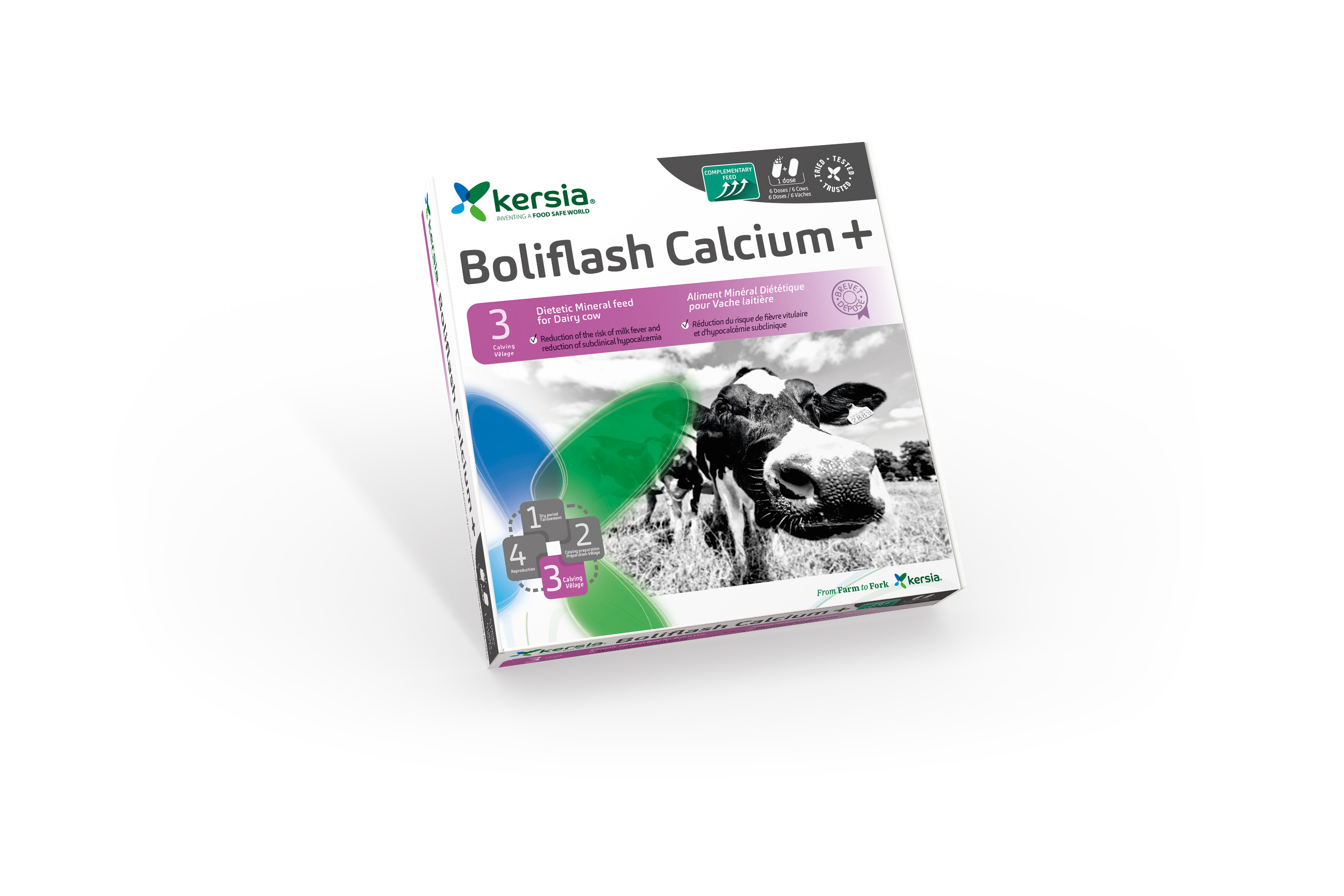 kersia Boliflash Calcium+ Box mit 12Boli