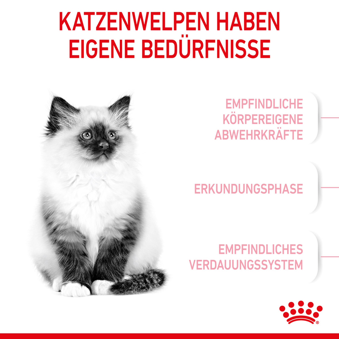 Royal Canin Katze Kitten 0,4 kg