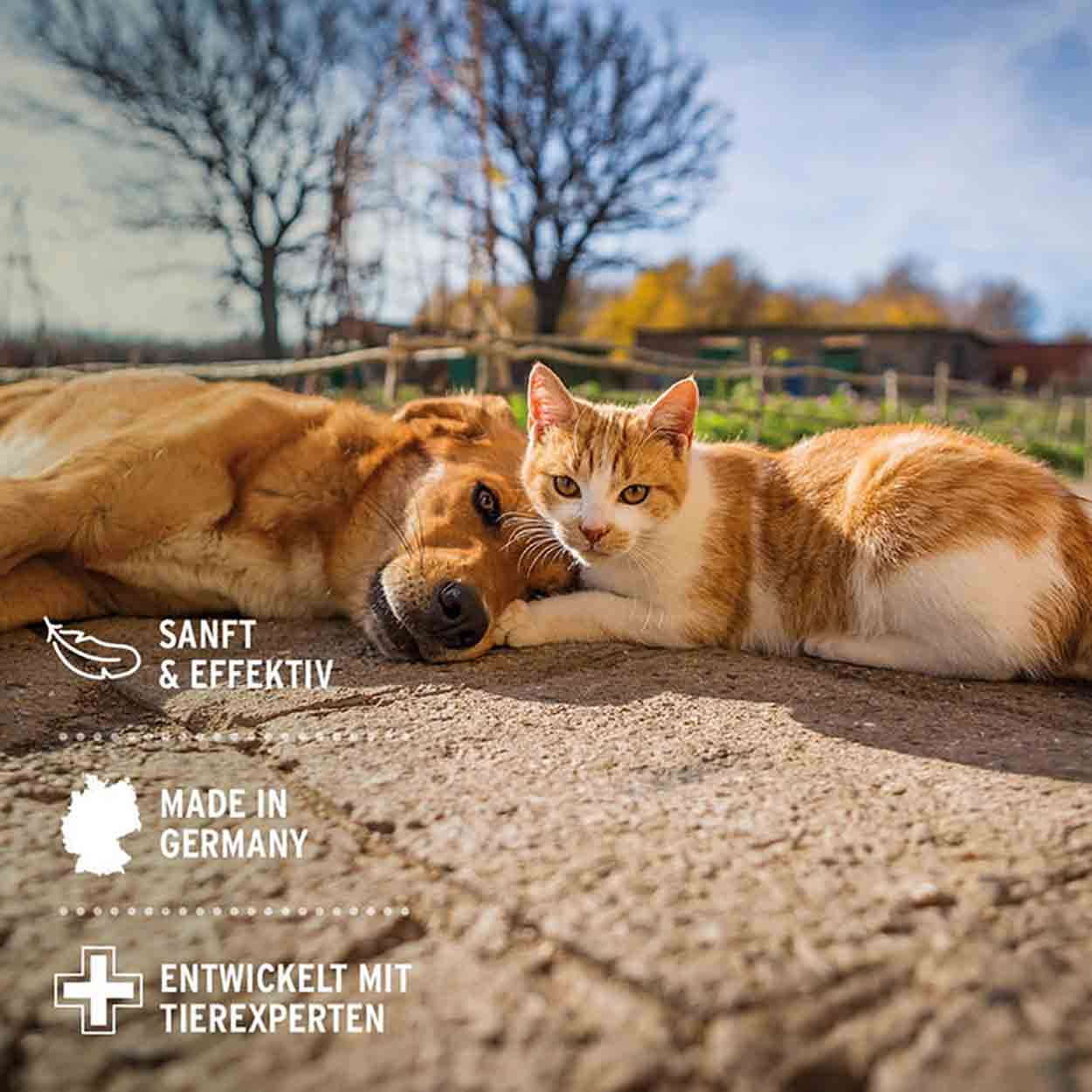 AniForte Relax Spray 100ml