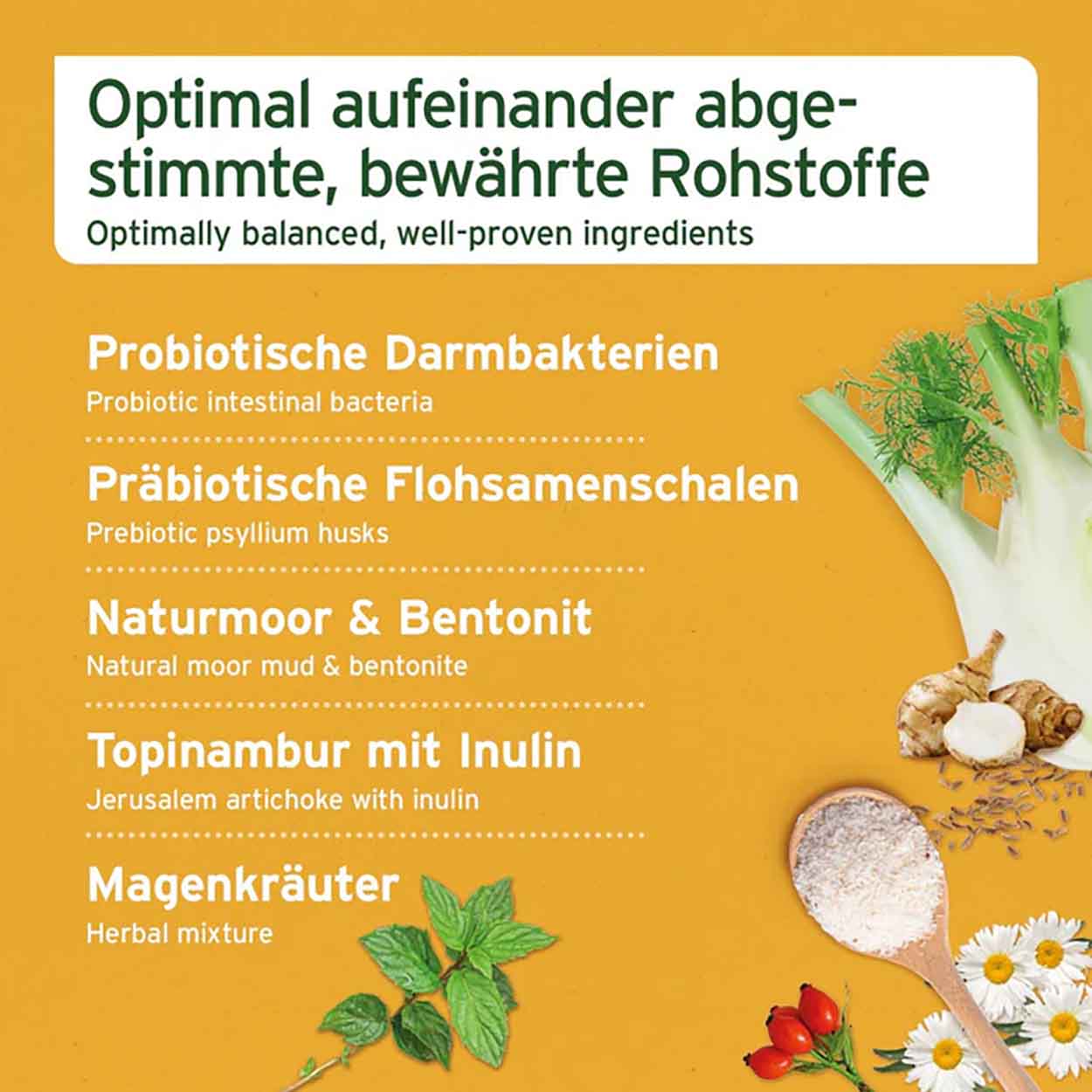 AniForte Magen Darm Snack 300g