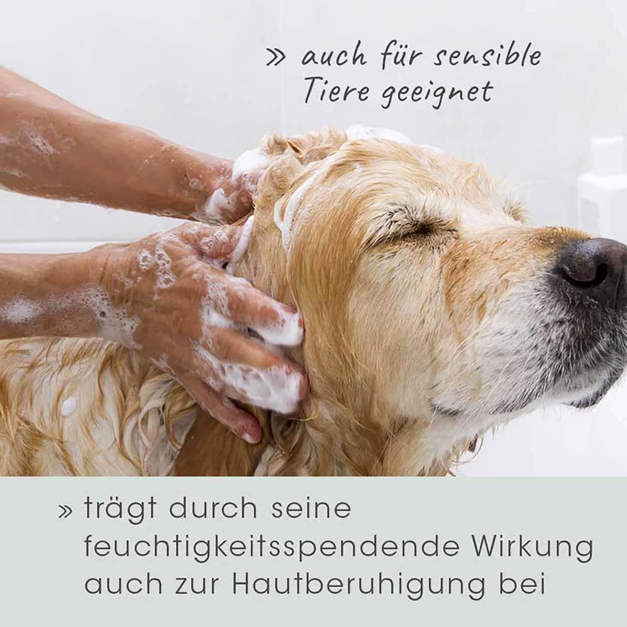 cdVet VeaVet Pflegeshampoo