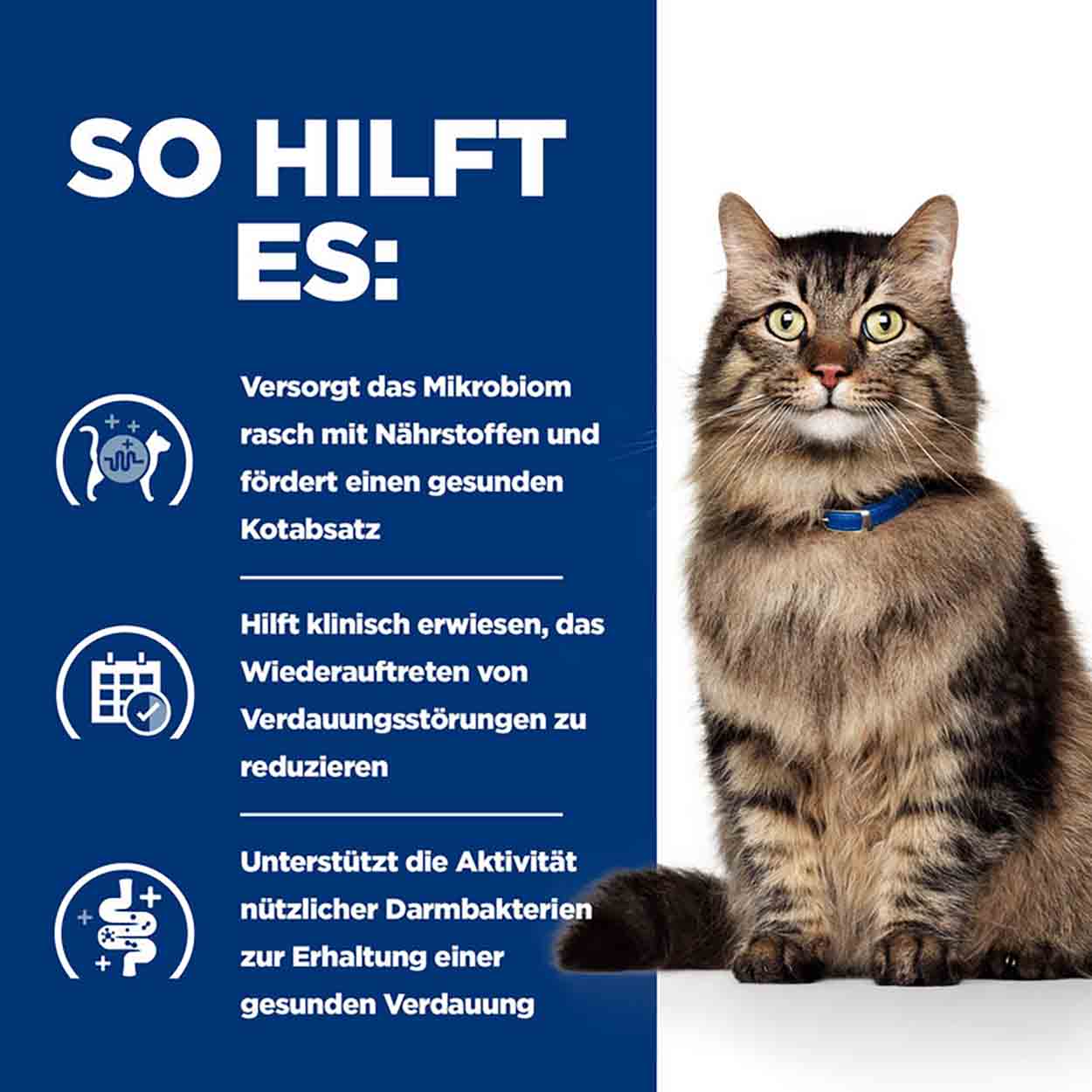 Hills Feline Gastrointestinal Biome Stress Ragout Huhn 24x82g