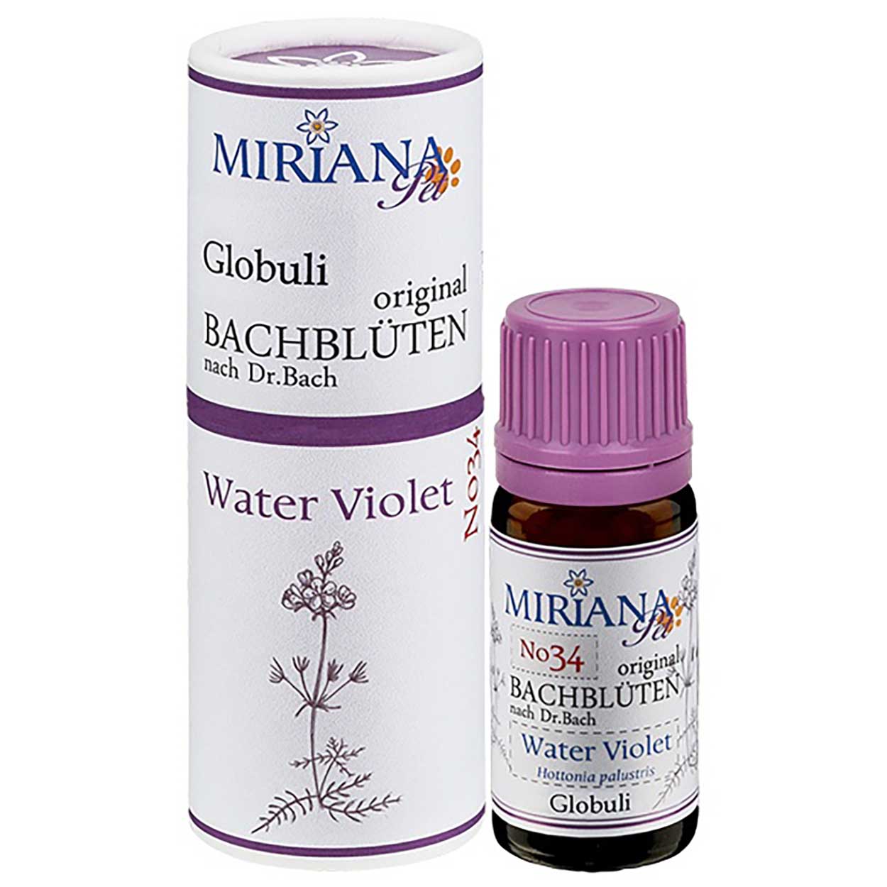 Bachblüten 34 Water Violet Globuli 10g