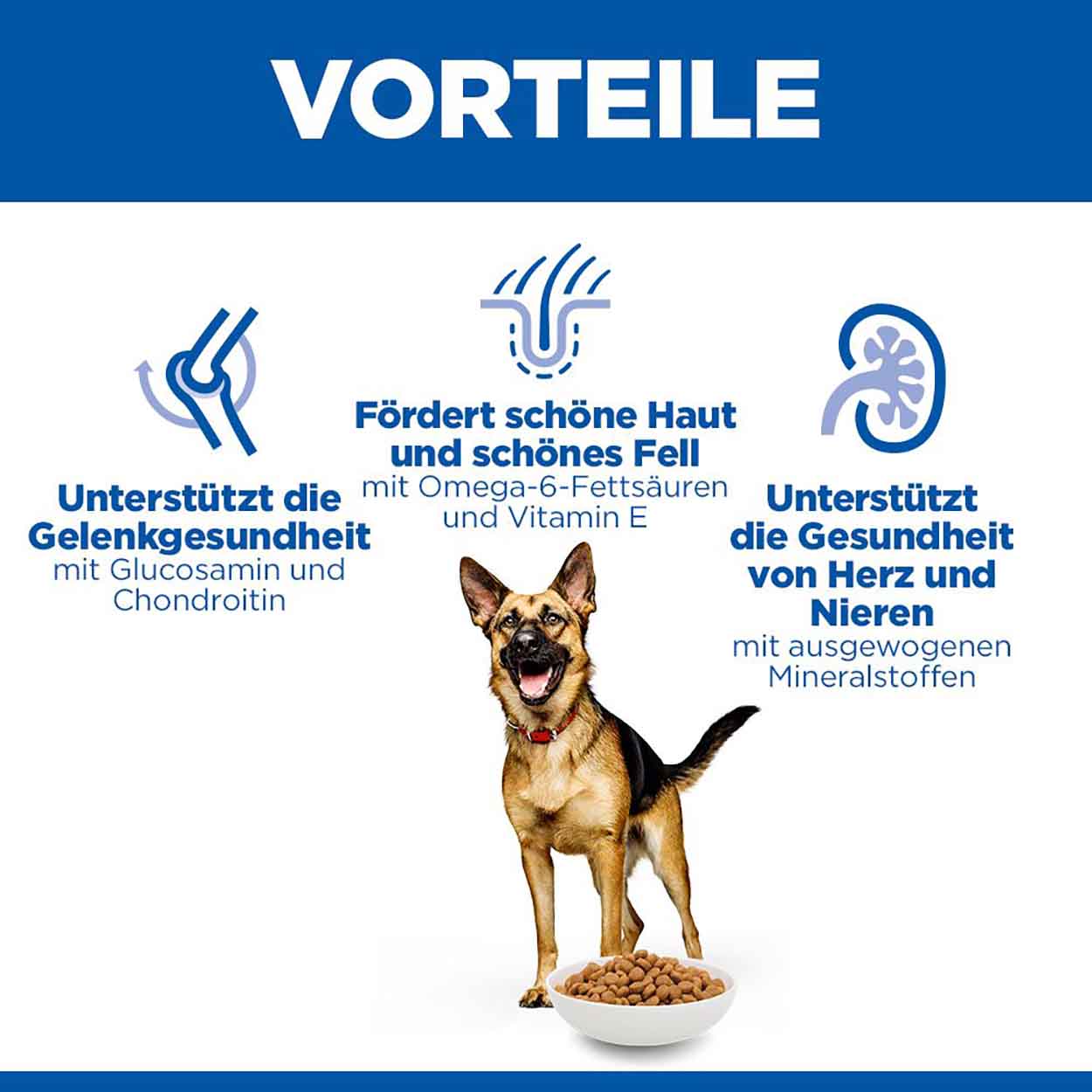 Hills Science Plan Hund Large Breed Mature Adult 7+ Huhn 14kg