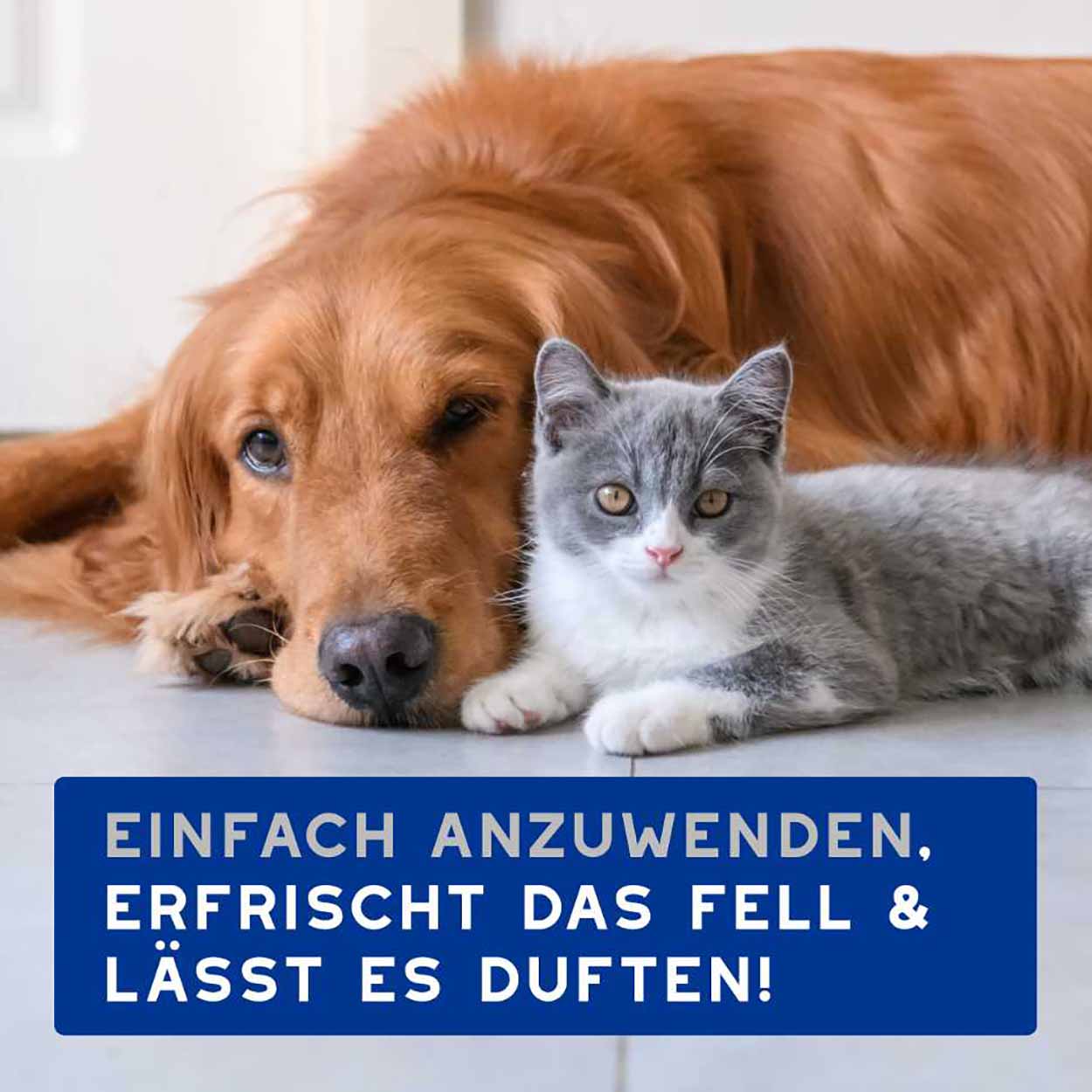 DOUXO SPA Feuchttücher 100Stk DOUXO SPA Feuchttücher 100Stk