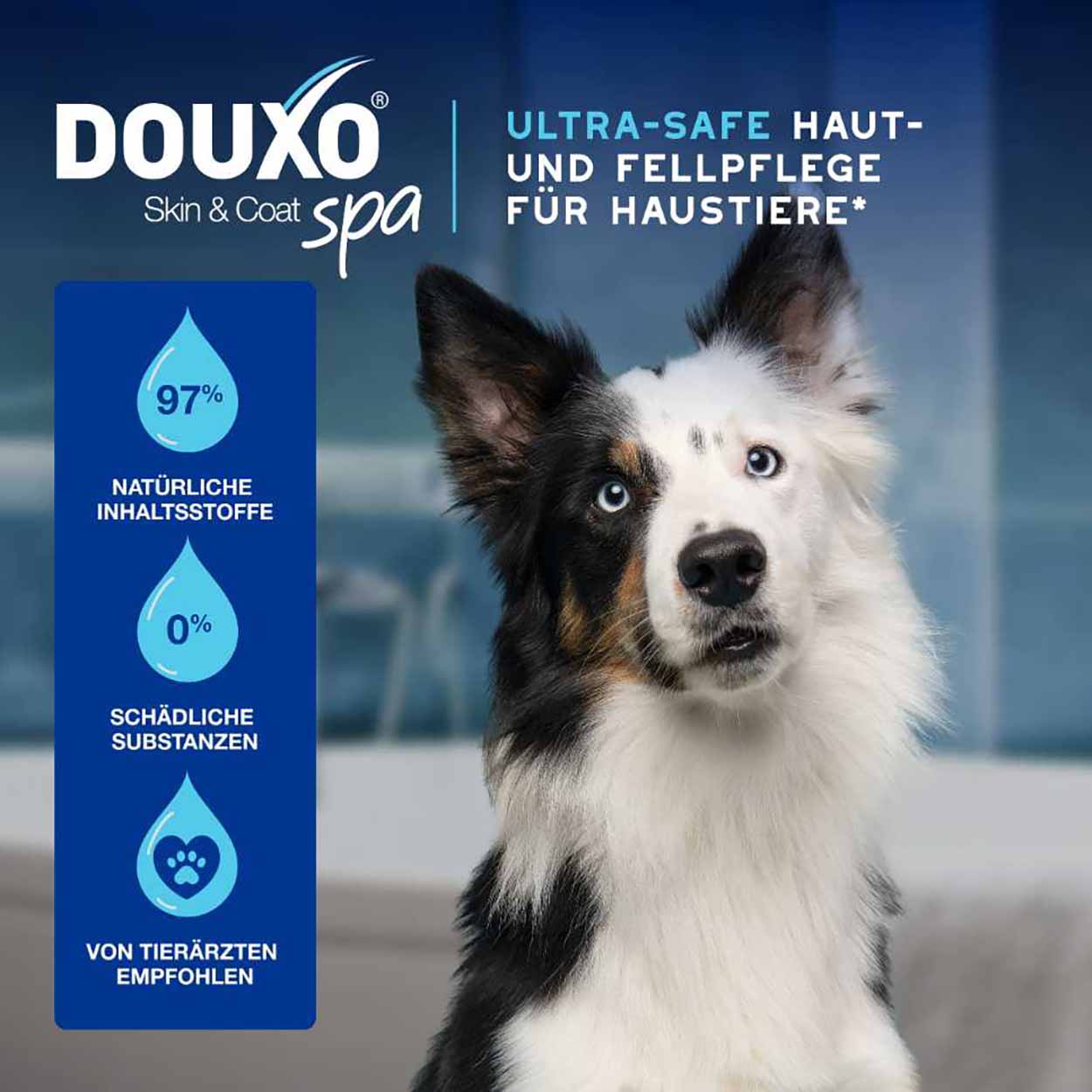 DOUXO SPA Mousse ohne Ausspülen für Hunde 150ml DOUXO SPA Mousse ohne Ausspülen für Hunde 150ml