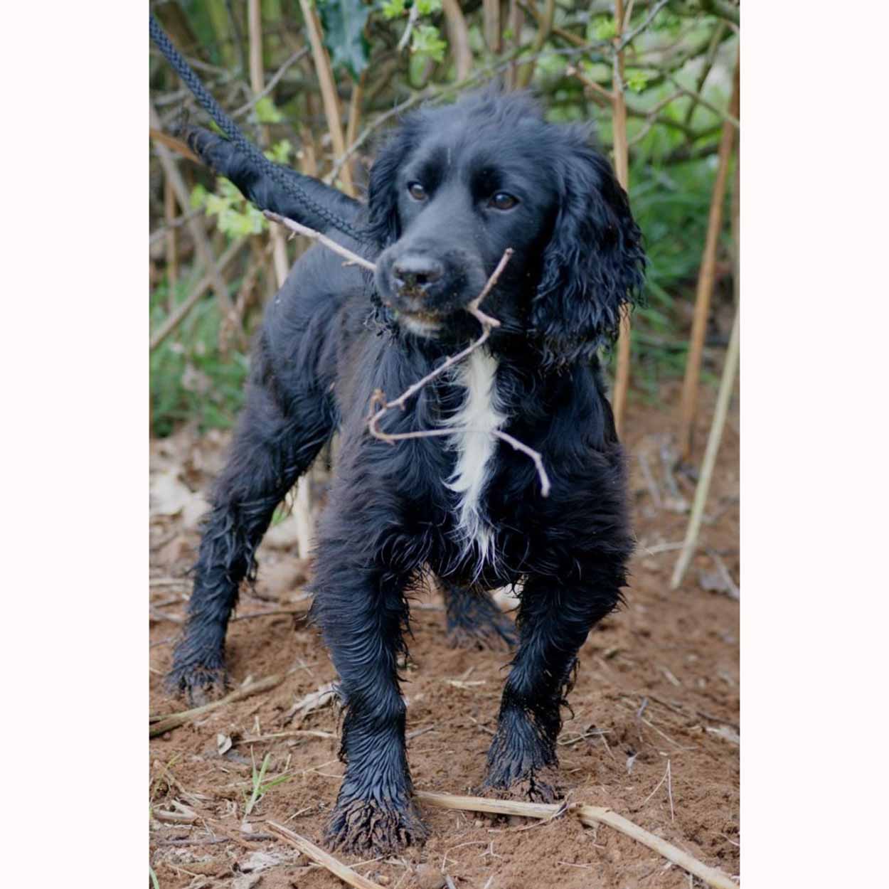 Life Data Breeders Formula 500g Nachfüllpackung