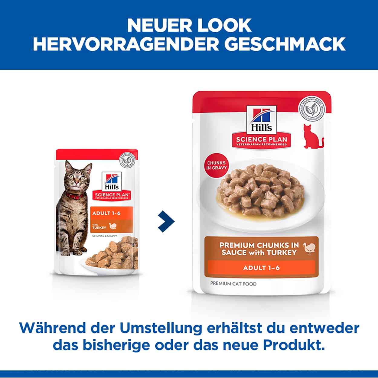 Hills Science Plan Katze Adult Truthahn 12x85g 