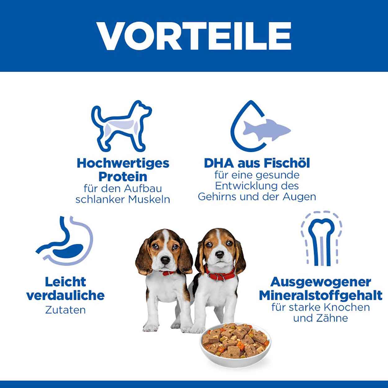 Hills Science Plan Hund Puppy Ragout Huhn 12x363g