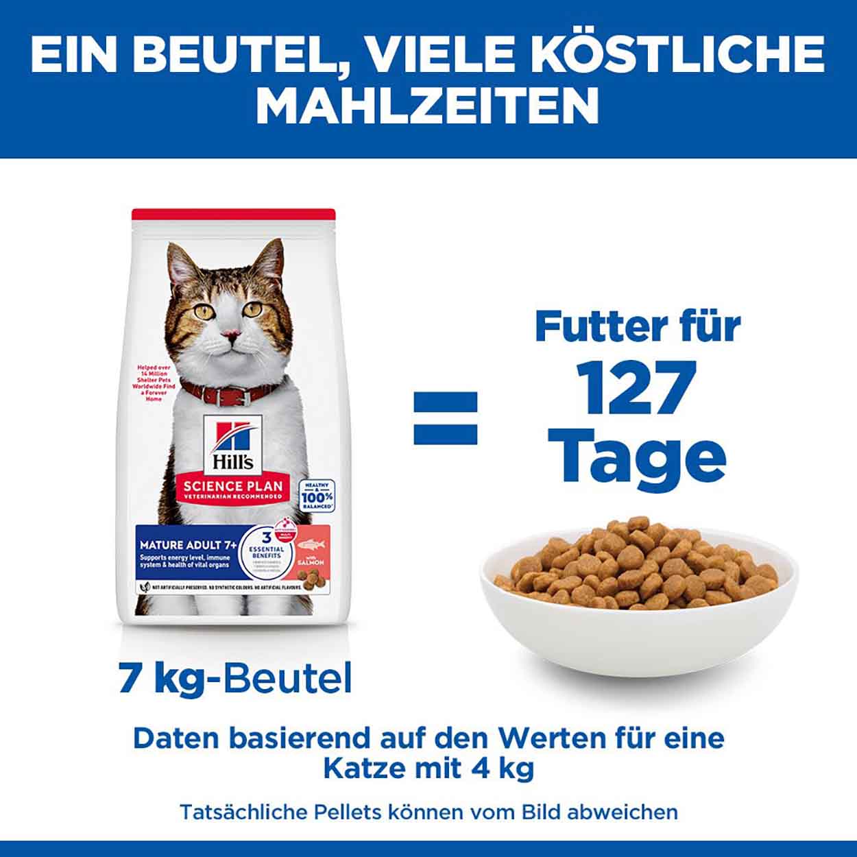 Hills Science Plan Katze Mature Adult 7+ Lachs 10kg
