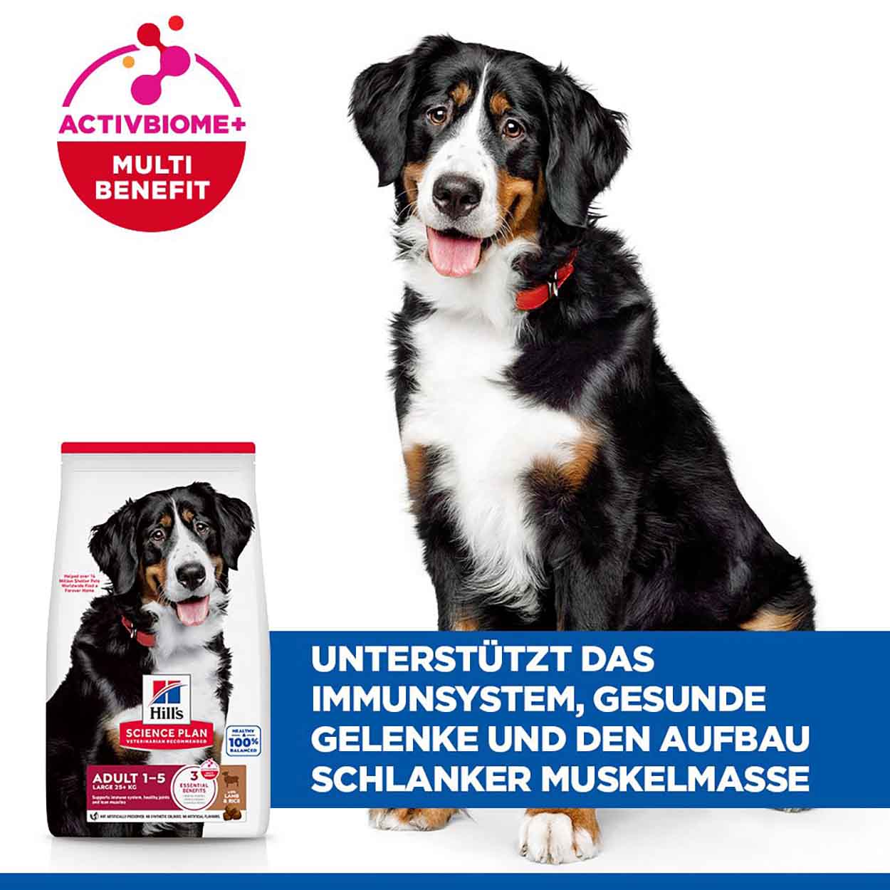 Hills Science Plan Hund Large Breed Adult Lamm & Reis 14kg