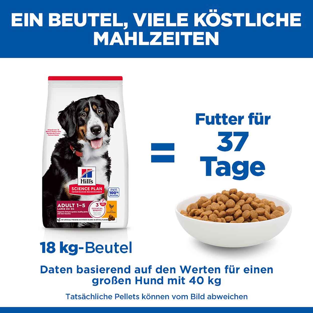 Hills Science Plan Hund  Large Breed Adult Huhn 14kg