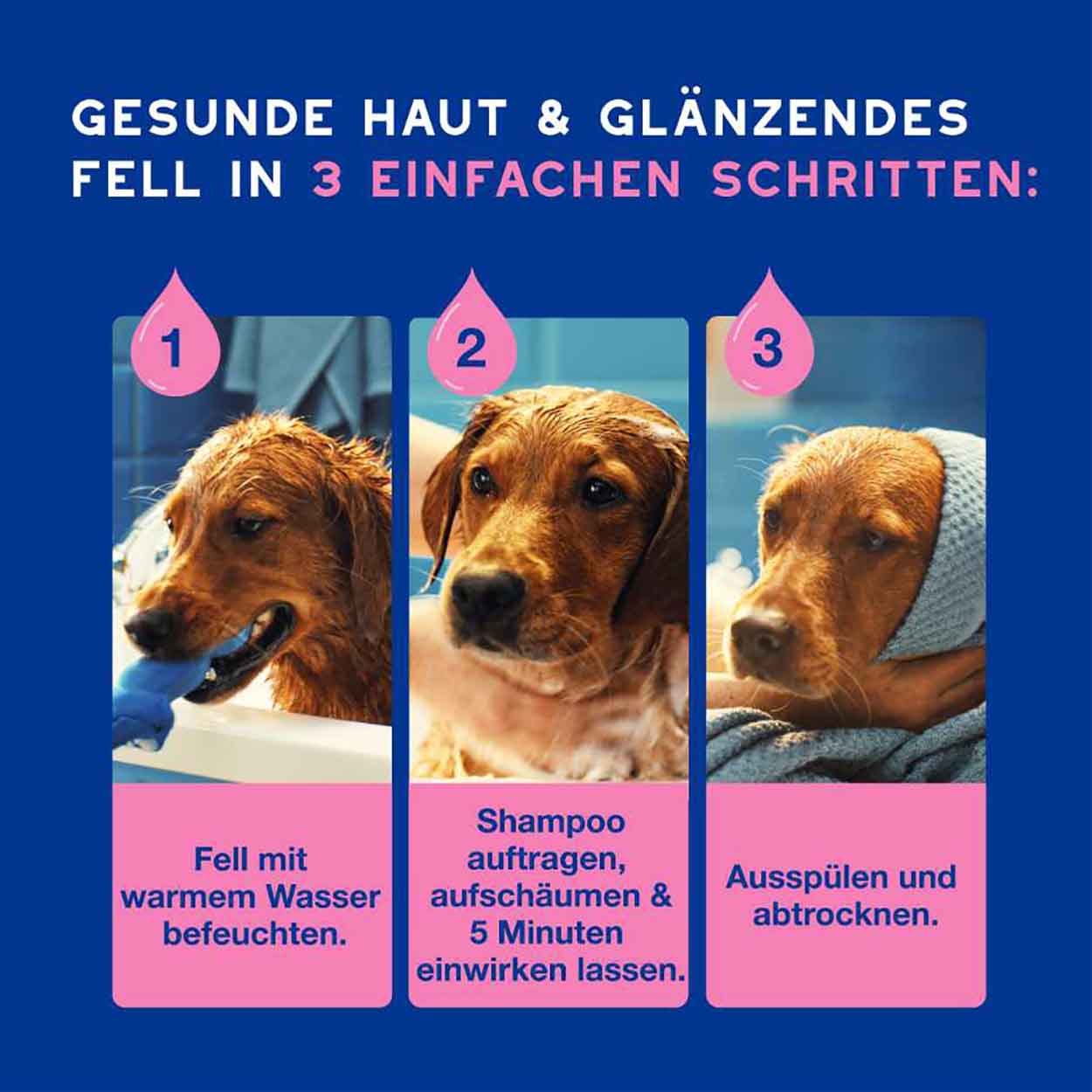 DOUXO SPA Shampoo gegen Juckreiz 250ml DOUXO SPA Shampoo gegen Juckreiz 250ml