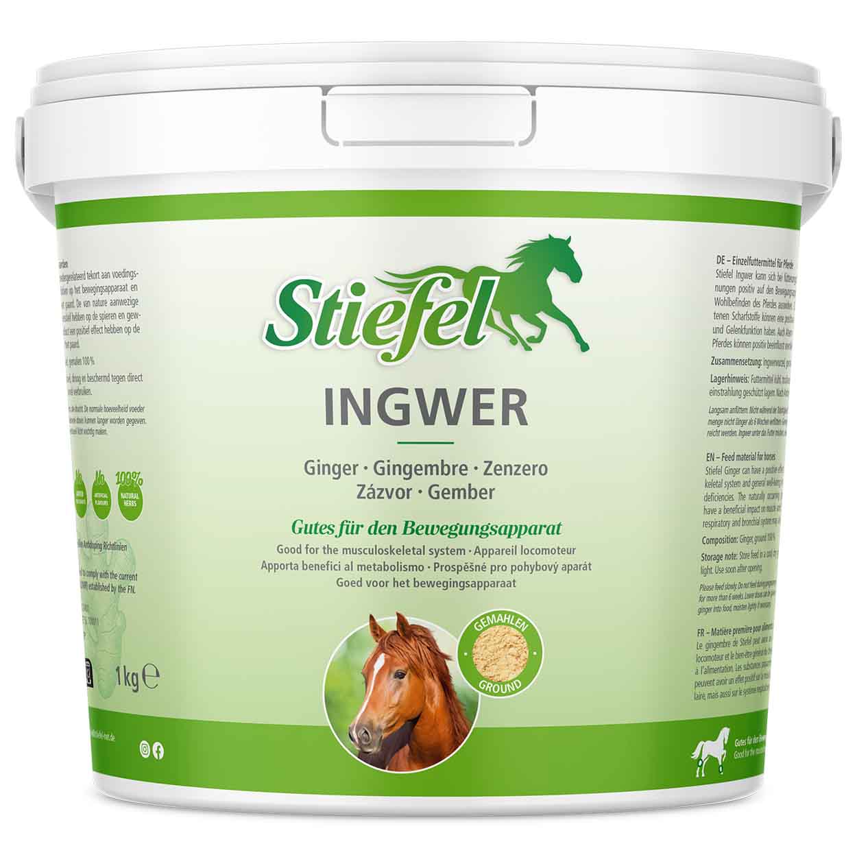 Stiefel Ingwer 1kg