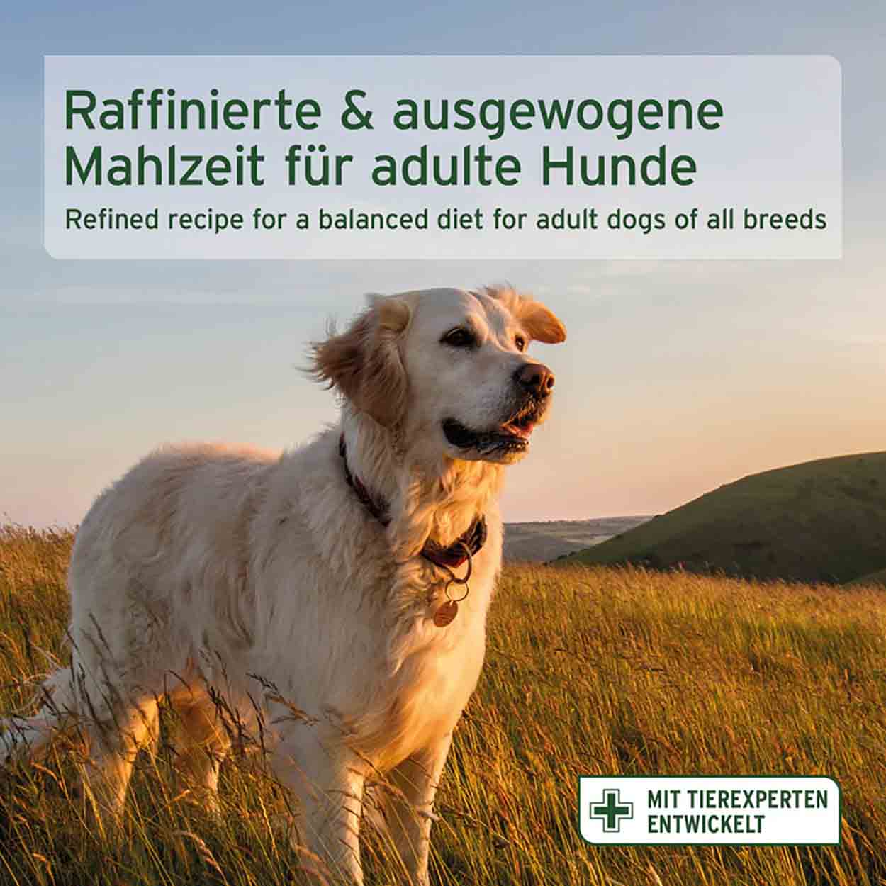 AniForte Pure Nature Land Chicken halbfeucht 12,5kg