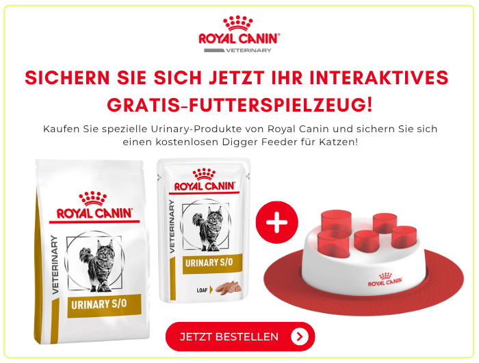 Angebot: Jetzt beim Kauf ausgewählter Urinary-Produkte für Katzen gratis Futterspielzeug sichern! Jetzt bestellen!
