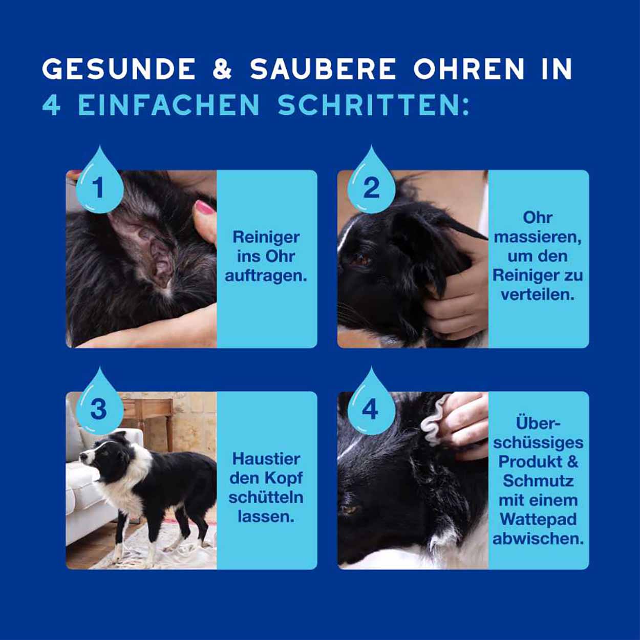 DOUXO SPA Ohrreiniger für Hunde 120ml 