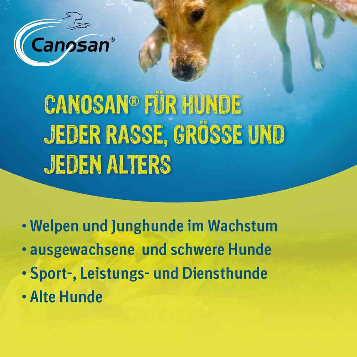 Canosan 4% 1300g