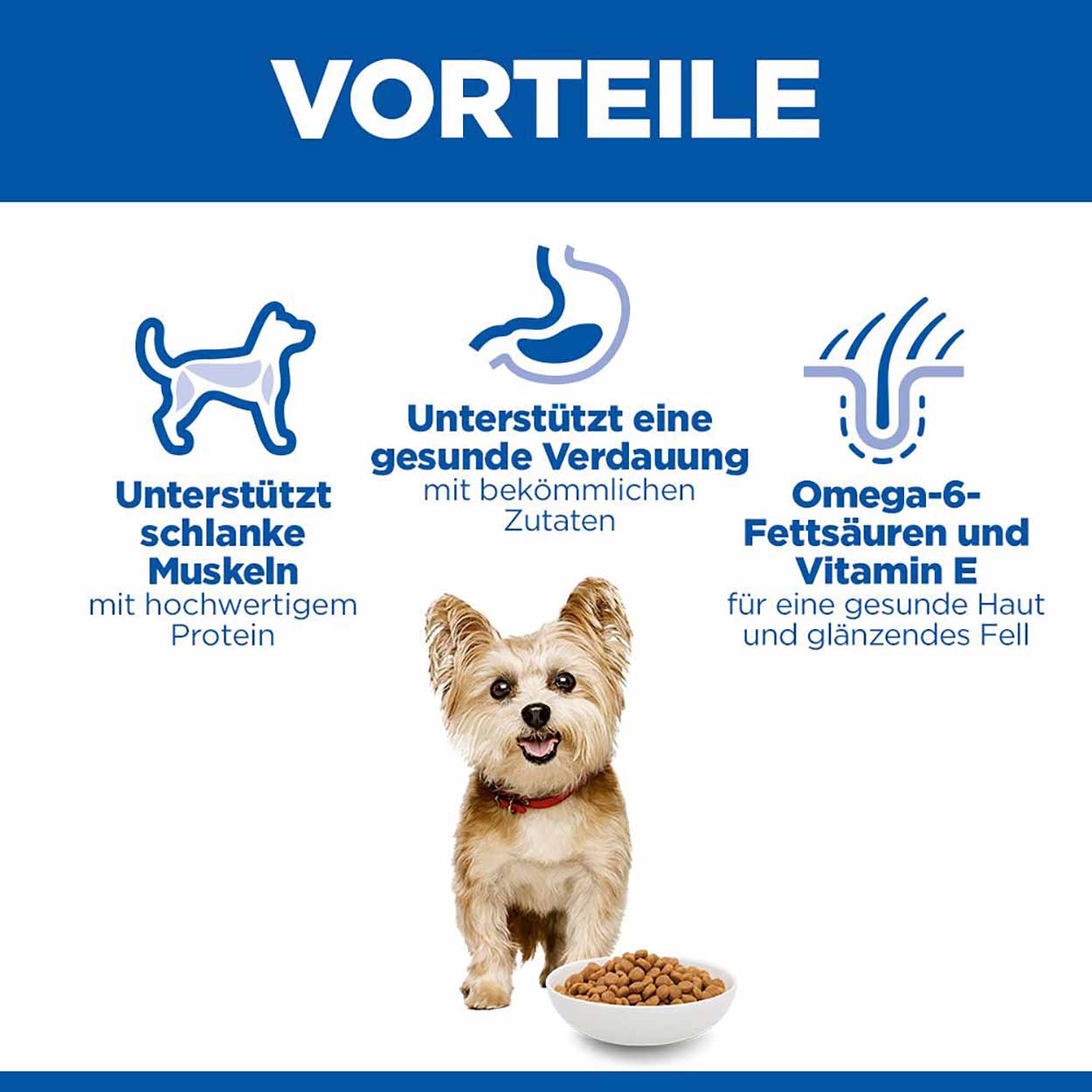 Hills Science Plan Hund Adult Small & Mini Huhn 3kg 