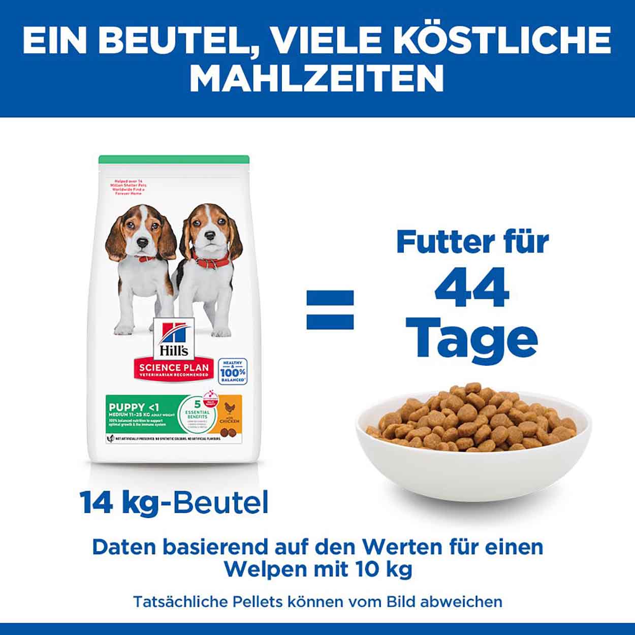 Hills Science Plan Hund Medium Puppy Huhn 14kg