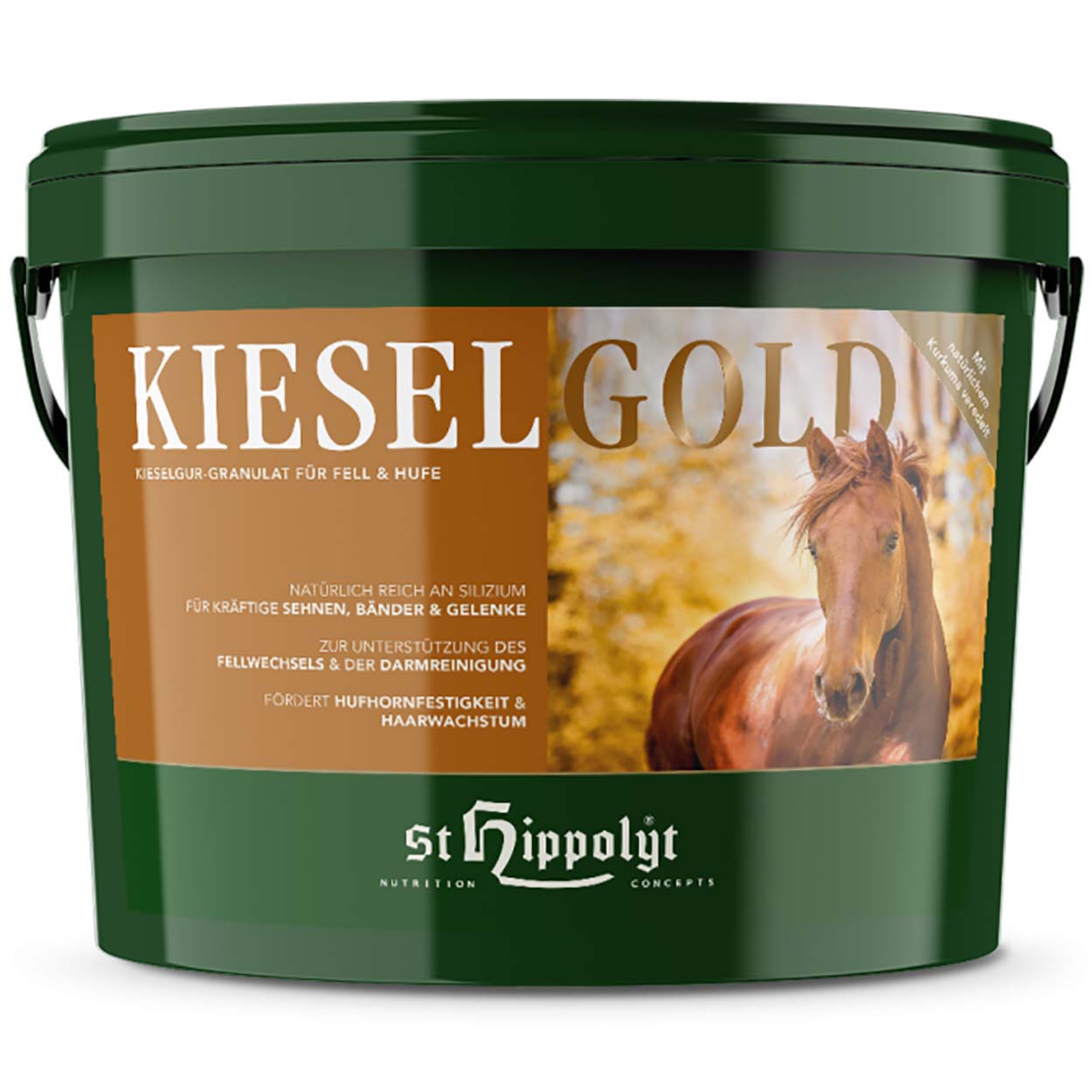 Kieselgold 4kg