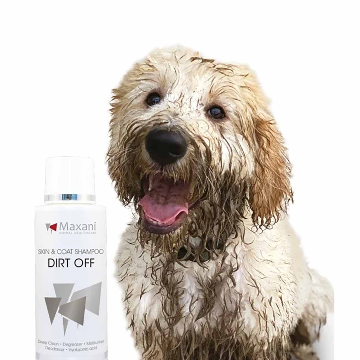 Maxani Dirt Off Haut & Fell Shampoo 200ml