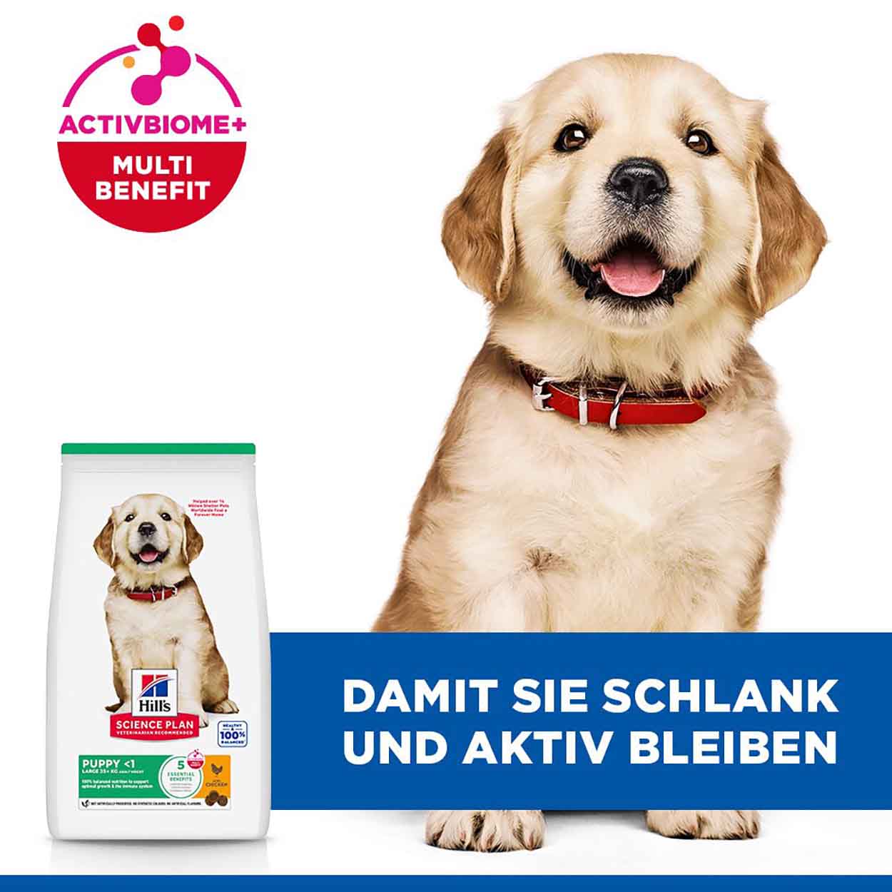 Hills Science Plan Hund Large Breed Puppy Huhn 6kg