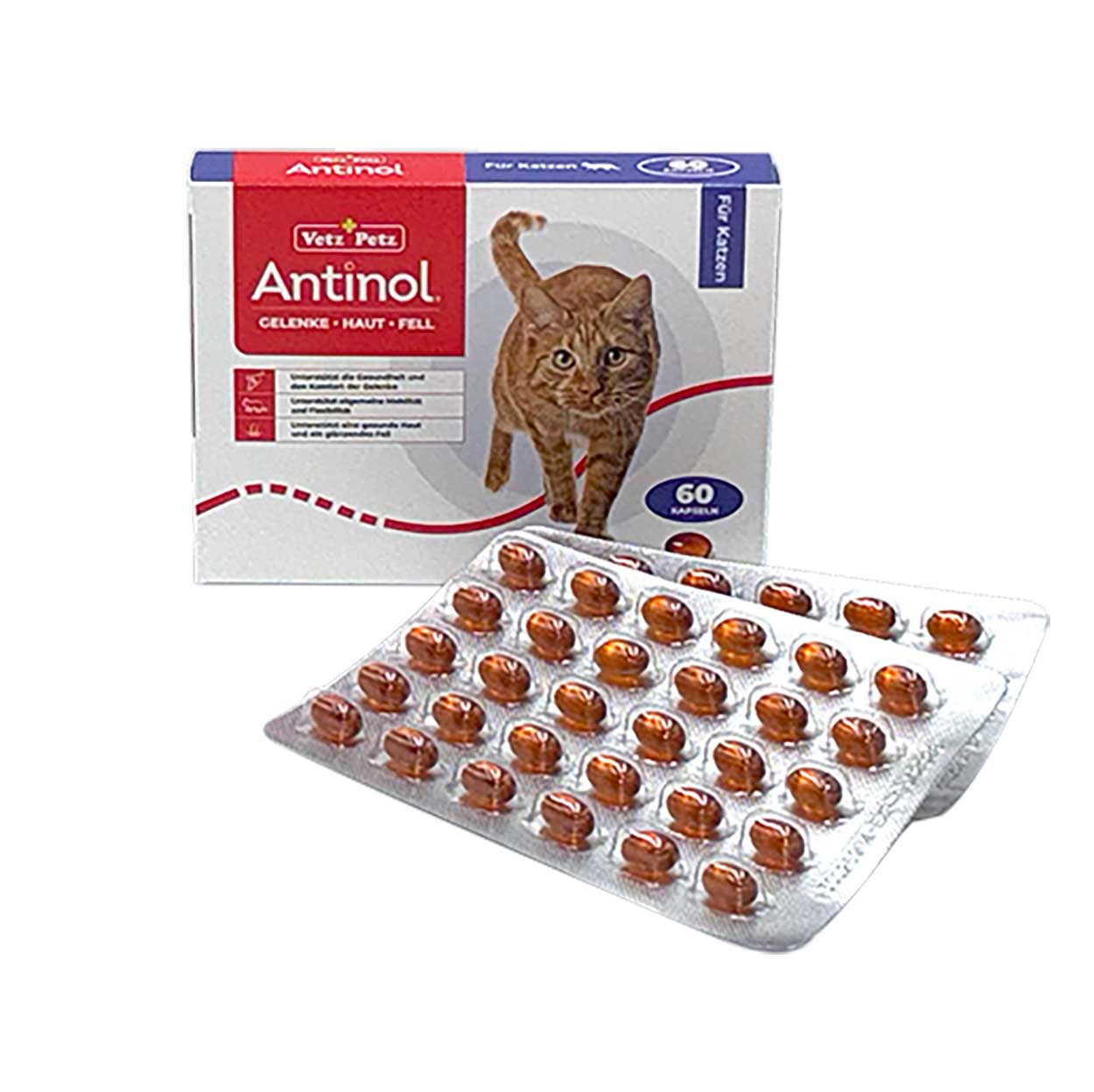 Antinol Katze 60 Kaps