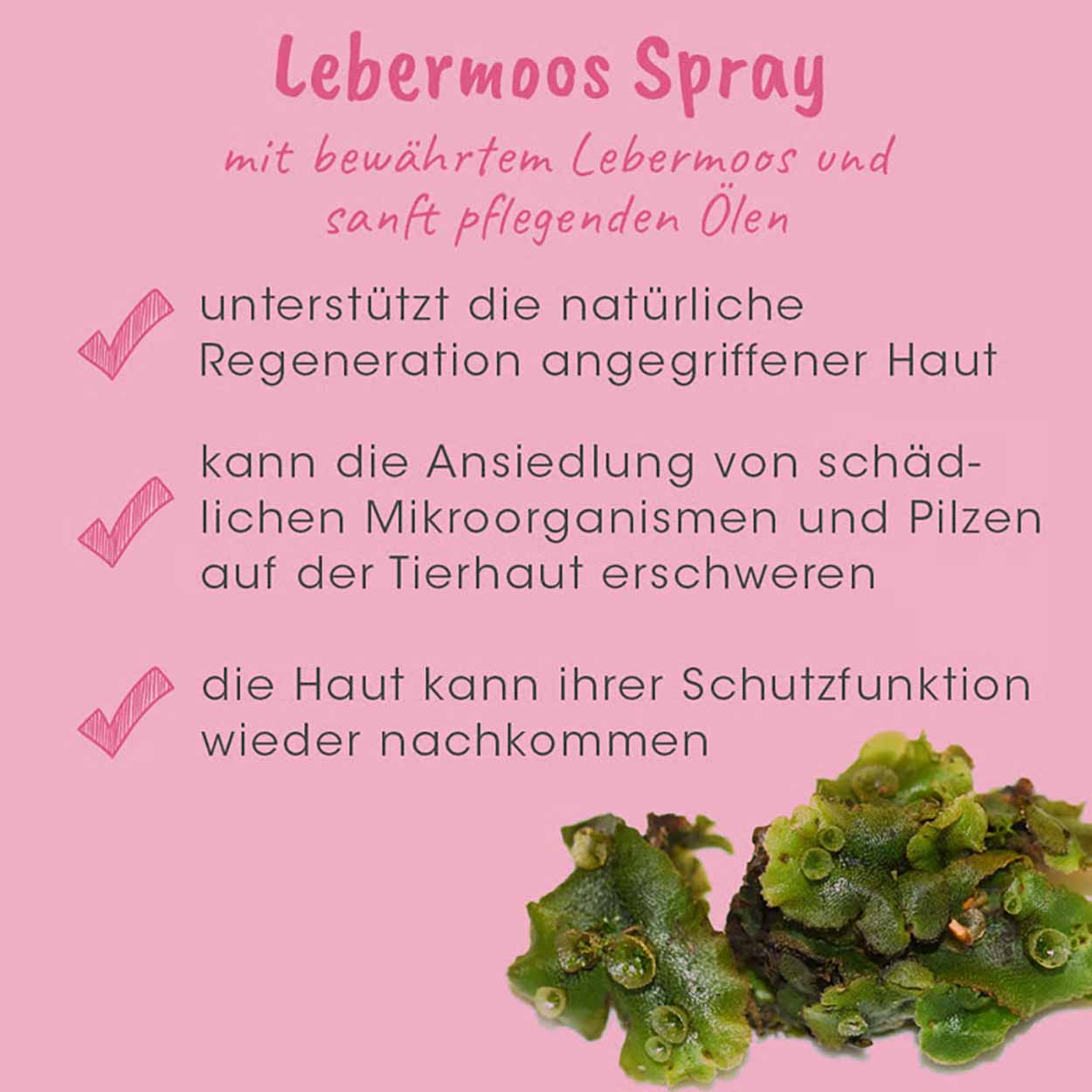 cdVet VeaVet Lebermoos Spray 20ml