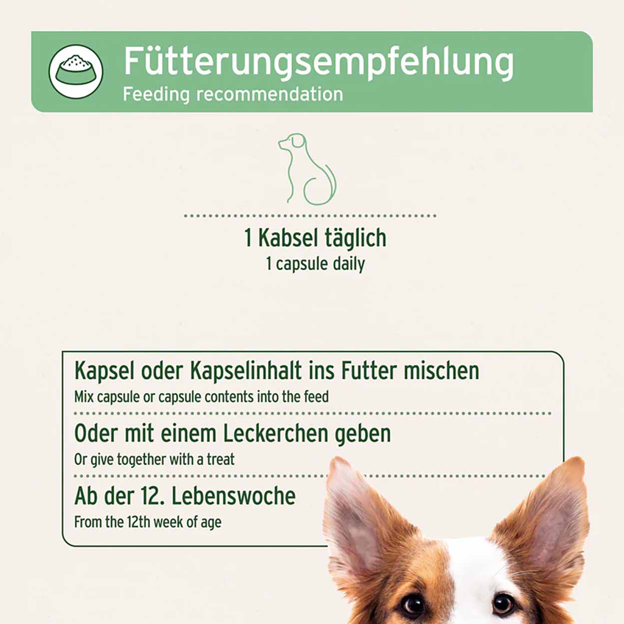 AniForte ZeckenSchild Hund