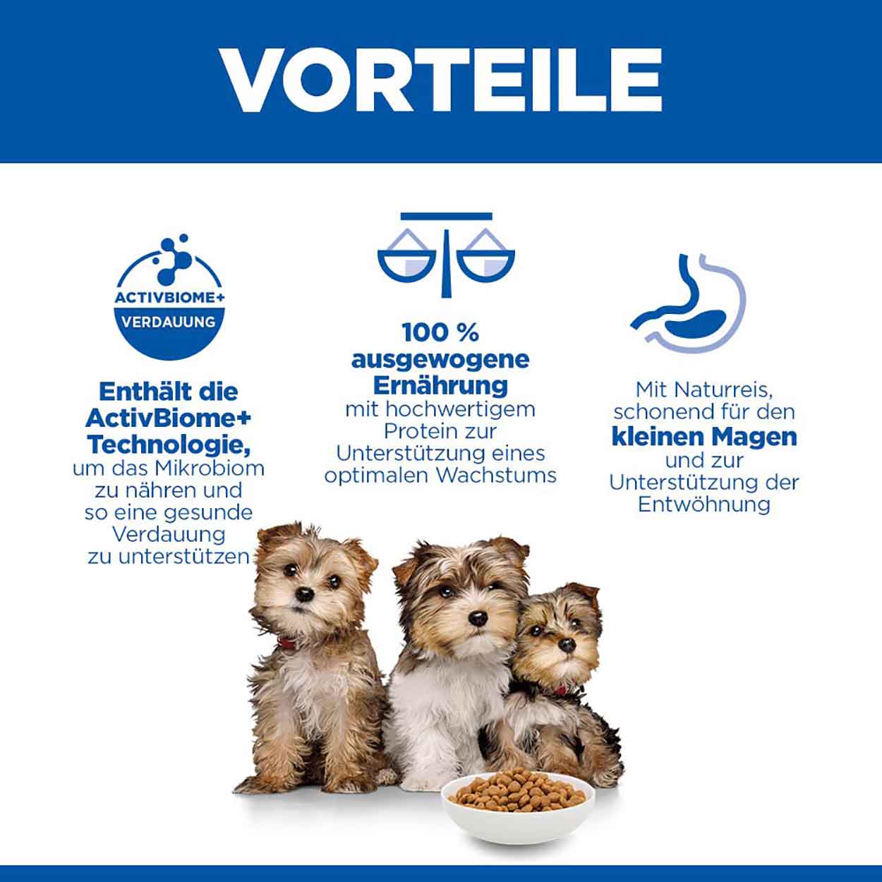 Hills Science Plan Hund Perfect Digestion Small & Mini Puppy Huhn 1,5kg 