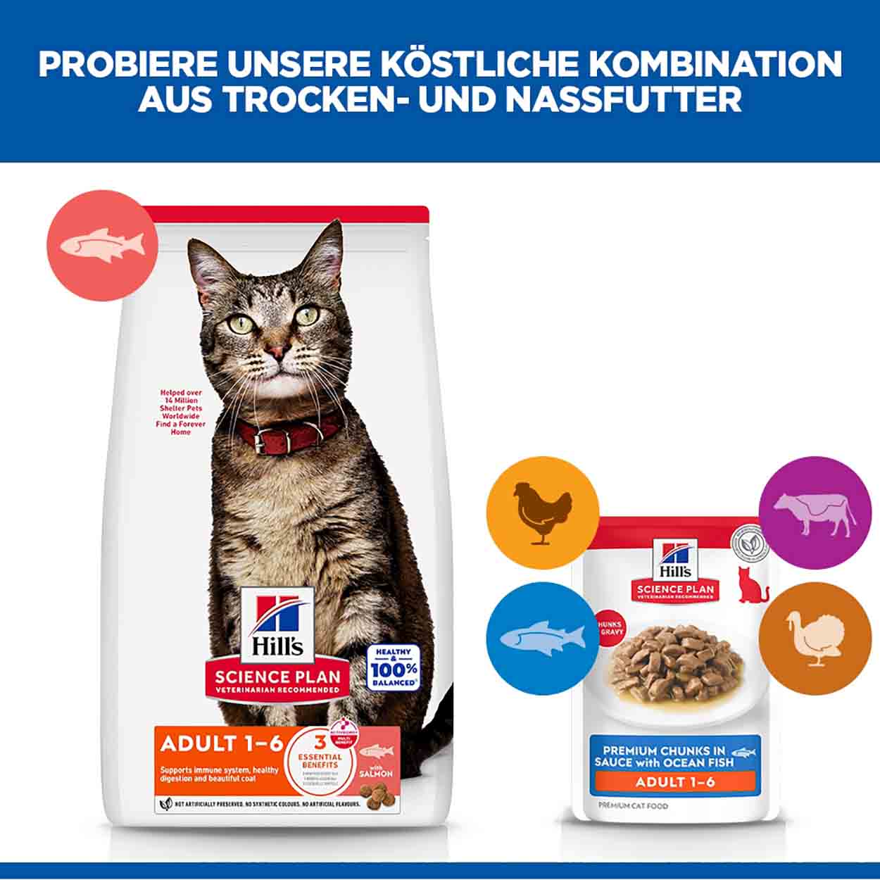 Hills Science Plan Katze Adult Seefisch 12x85g