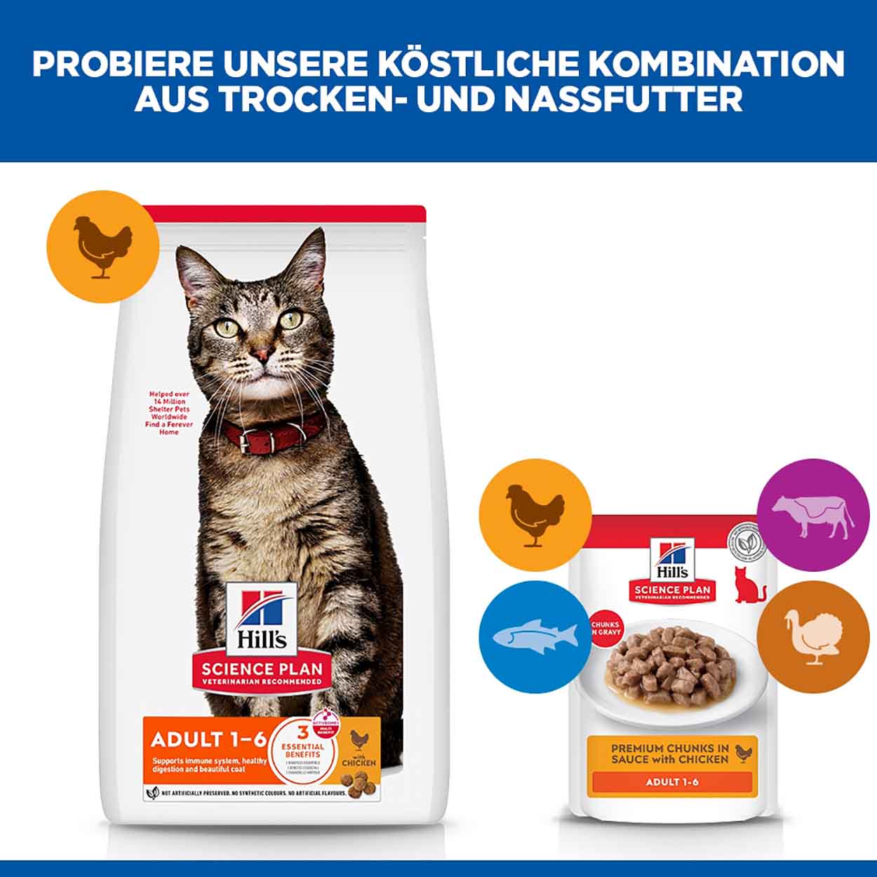 Hills Science Plan Katze Adult Huhn 12x85g