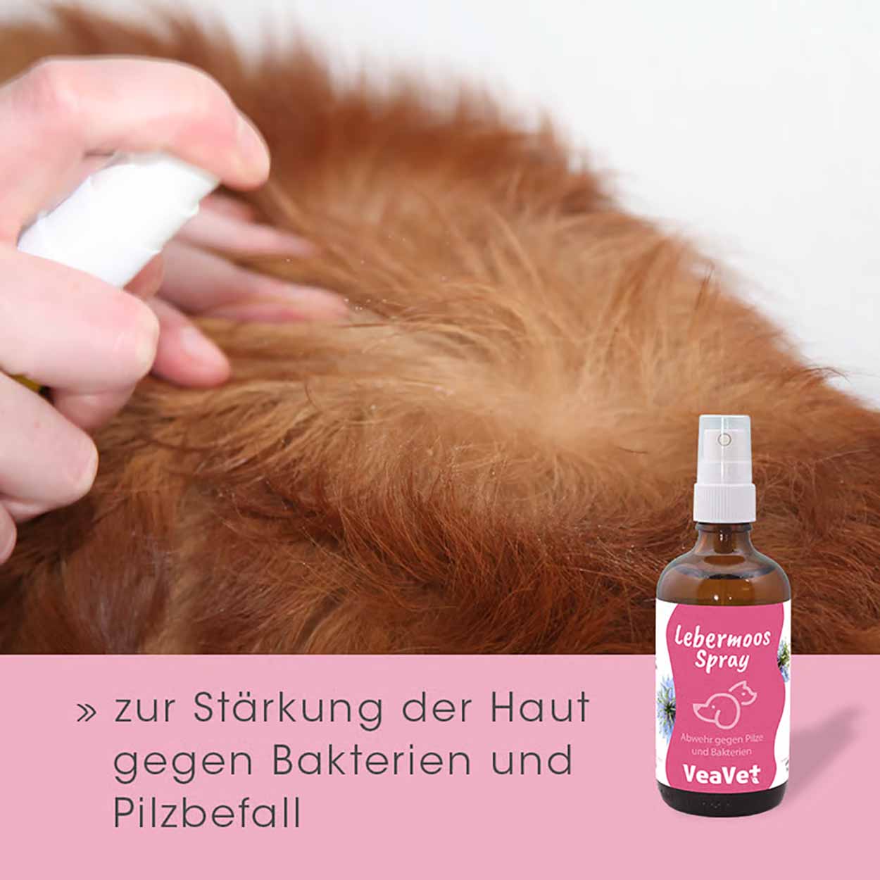 cdVet VeaVet Lebermoos Spray 20ml
