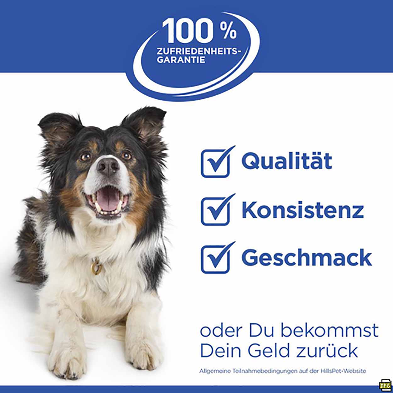 katzenspielzeug angel Katzenspielzeug Spinnenangel  Merchhelden.com